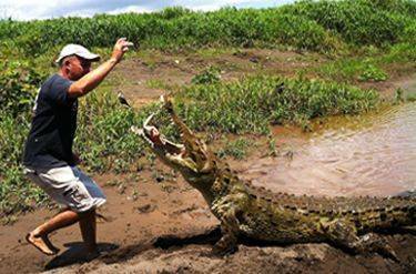 Image representing  Eco Tour