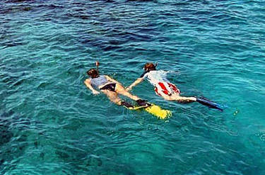 Image representing  Snorkeling